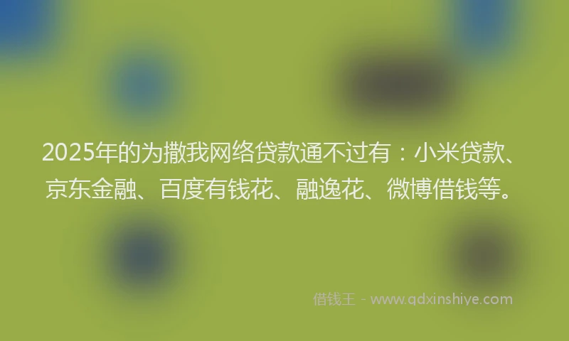 2025年的为撒我网络贷款通不过有：小米贷款、京东金融、百度有钱花、融逸花、微博借钱等。