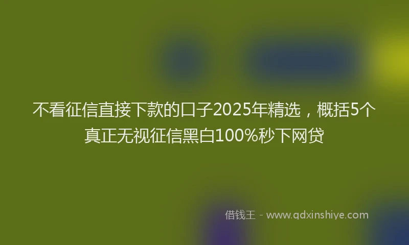 不看征信直接下款的口子2025年精选，概括5个真正无视征信黑白100%秒下网贷