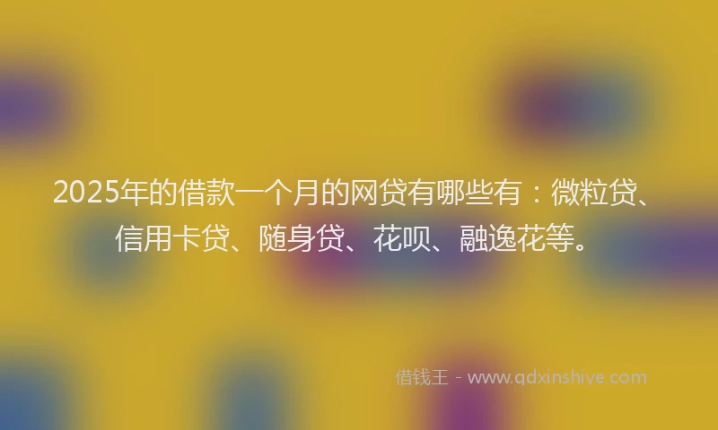 2025年的借款一个月的网贷有哪些有：微粒贷、信用卡贷、随身贷、花呗、融逸花等。