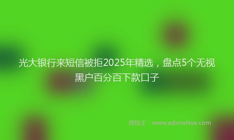 光大银行来短信被拒2025年精选，盘点5个无视黑户百分百下款口子