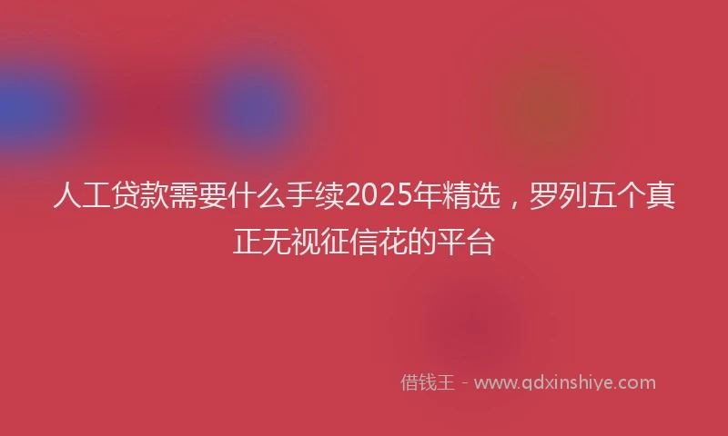人工贷款需要什么手续2025年精选，罗列五个真正无视征信花的平台