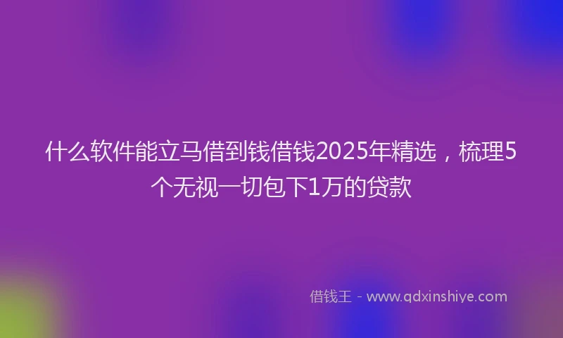 什么软件能立马借到钱借钱2025年精选，梳理5个无视一切包下1万的贷款