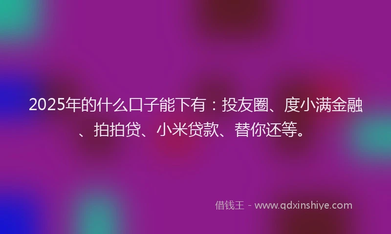 2025年的什么口子能下有：投友圈、度小满金融、拍拍贷、小米贷款、替你还等。