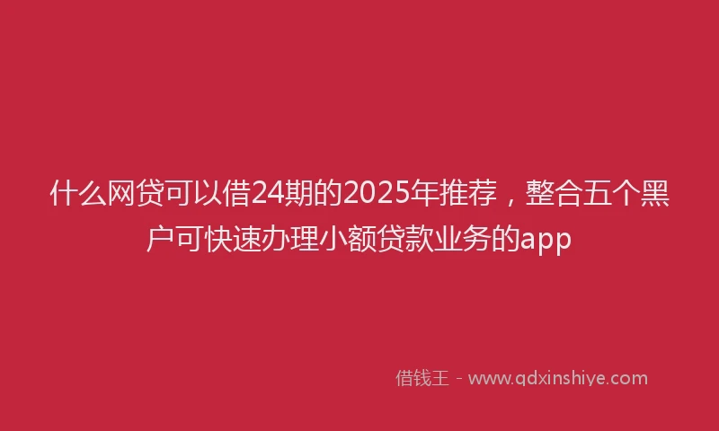 什么网贷可以借24期的2025年推荐，整合五个黑户可快速办理小额贷款业务的app
