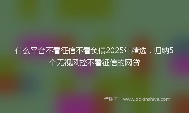 什么平台不看征信不看负债2025年精选，归纳5个无视风控不看征信的网贷