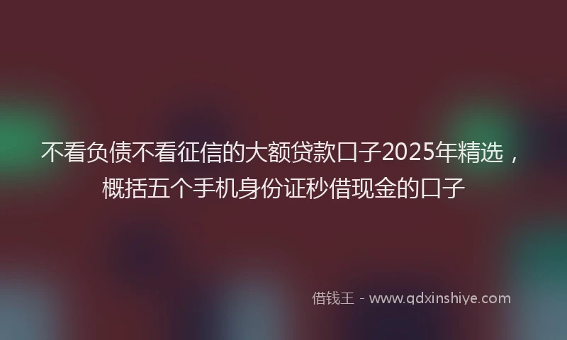 不看负债不看征信的大额贷款口子2025年精选，概括五个手机身份证秒借现金的口子