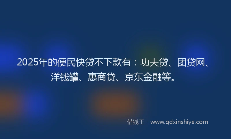 2025年的便民快贷不下款有：功夫贷、团贷网、洋钱罐、惠商贷、京东金融等。