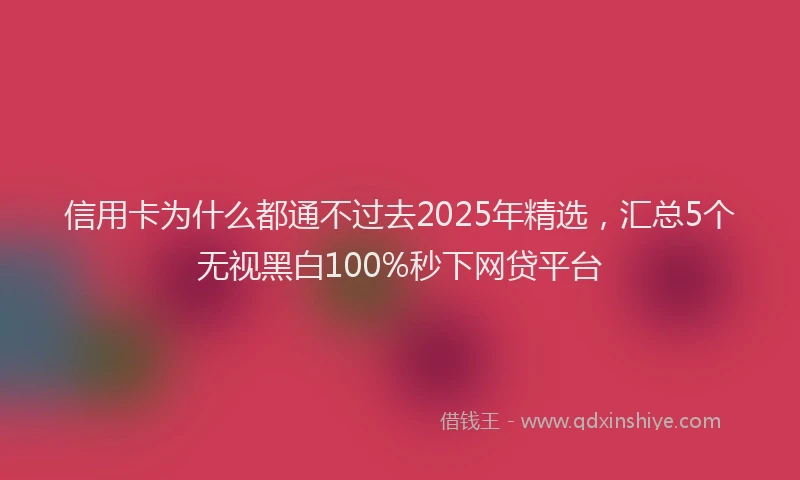 信用卡为什么都通不过去2025年精选，汇总5个无视黑白100%秒下网贷平台