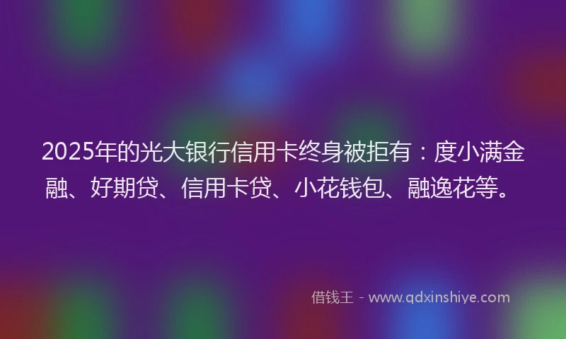 2025年的光大银行信用卡终身被拒有：度小满金融、好期贷、信用卡贷、小花钱包、融逸花等。