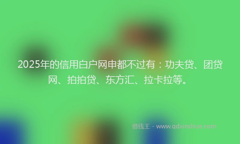 2025年的信用白户网申都不过有：功夫贷、团贷网、拍拍贷、东方汇、拉卡拉等。