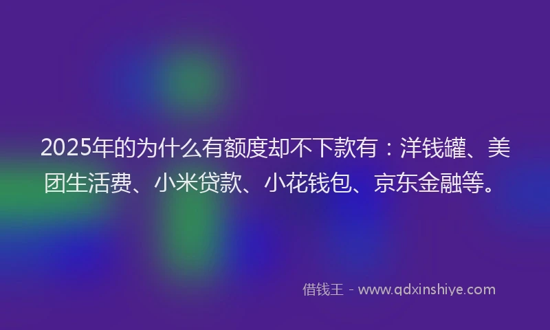 2025年的为什么有额度却不下款有：洋钱罐、美团生活费、小米贷款、小花钱包、京东金融等。