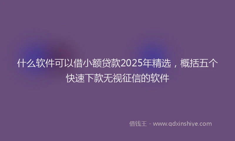 什么软件可以借小额贷款2025年精选，概括五个快速下款无视征信的软件