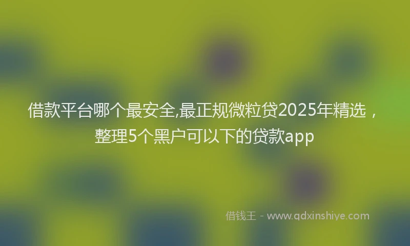借款平台哪个最安全,最正规微粒贷2025年精选，整理5个黑户可以下的贷款app