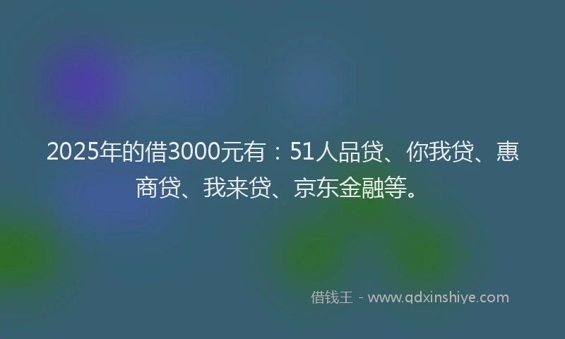 2025年的借3000元有：51人品贷、你我贷、惠商贷、我来贷、京东金融等。