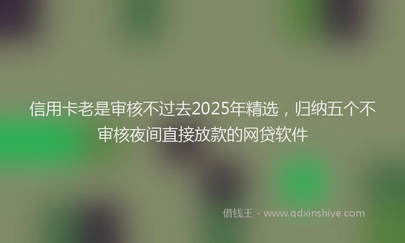 信用卡老是审核不过去2025年精选，归纳五个不审核夜间直接放款的网贷软件