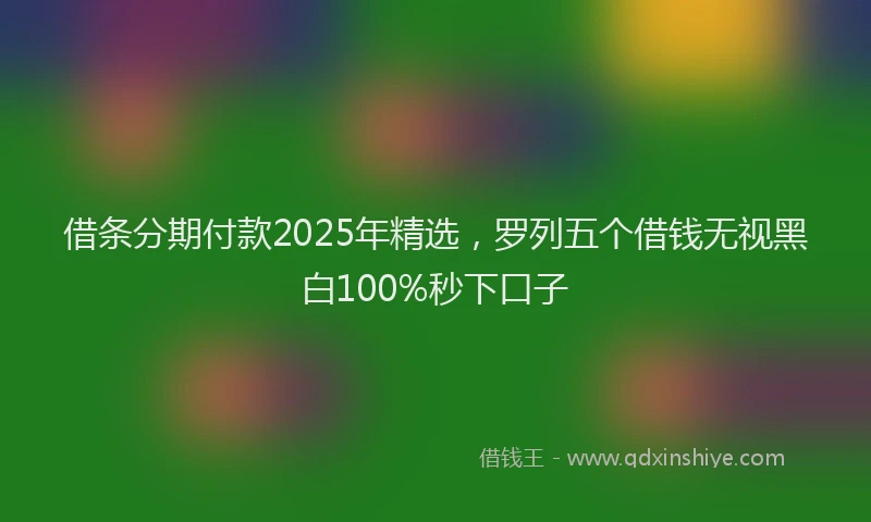 借条分期付款2025年精选，罗列五个借钱无视黑白100%秒下口子