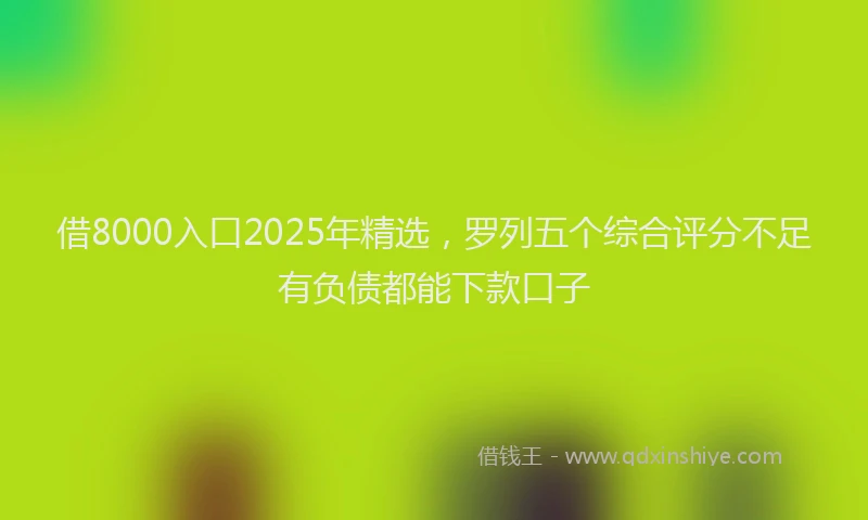 借8000入口2025年精选，罗列五个综合评分不足有负债都能下款口子