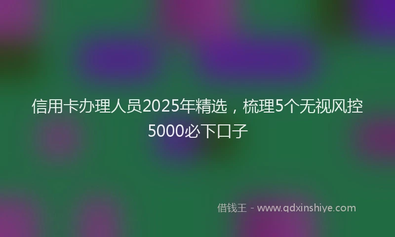 信用卡办理人员2025年精选，梳理5个无视风控5000必下口子