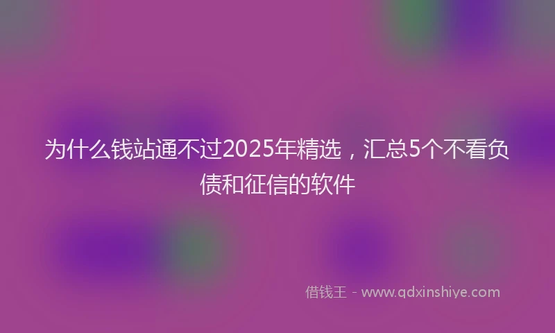 为什么钱站通不过2025年精选，汇总5个不看负债和征信的软件