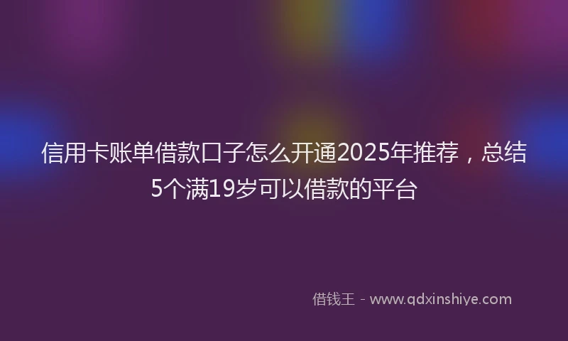 信用卡账单借款口子怎么开通2025年推荐，总结5个满19岁可以借款的平台