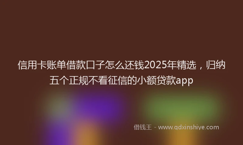 信用卡账单借款口子怎么还钱2025年精选，归纳五个正规不看征信的小额贷款app