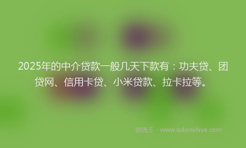 2025年的中介贷款一般几天下款有：功夫贷、团贷网、信用卡贷、小米贷款、拉卡拉等。