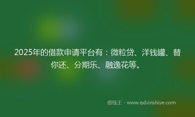 2025年的借款申请平台有：微粒贷、洋钱罐、替你还、分期乐、融逸花等。