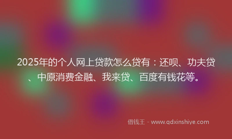 2025年的个人网上贷款怎么贷有：还呗、功夫贷、中原消费金融、我来贷、百度有钱花等。