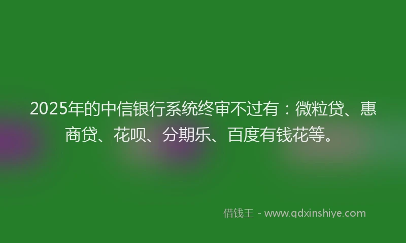2025年的中信银行系统终审不过有：微粒贷、惠商贷、花呗、分期乐、百度有钱花等。