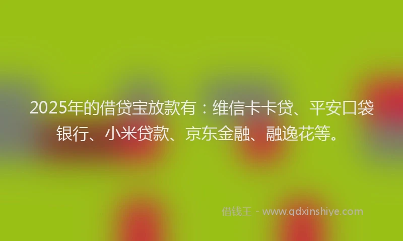 2025年的借贷宝放款有：维信卡卡贷、平安口袋银行、小米贷款、京东金融、融逸花等。