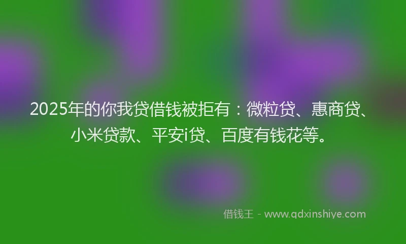 2025年的你我贷借钱被拒有：微粒贷、惠商贷、小米贷款、平安i贷、百度有钱花等。
