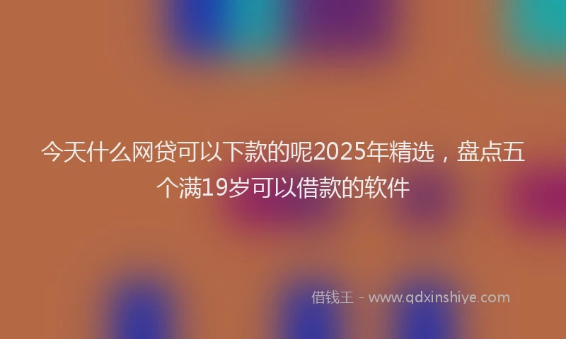 今天什么网贷可以下款的呢2025年精选，盘点五个满19岁可以借款的软件
