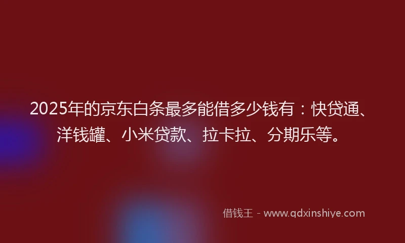 2025年的京东白条最多能借多少钱有：快贷通、洋钱罐、小米贷款、拉卡拉、分期乐等。