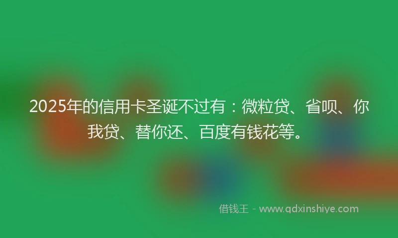 2025年的信用卡圣诞不过有：微粒贷、省呗、你我贷、替你还、百度有钱花等。