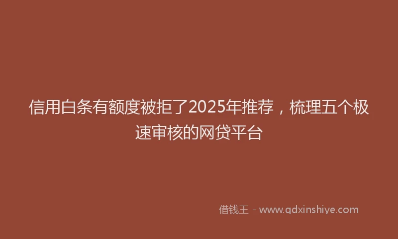 信用白条有额度被拒了2025年推荐，梳理五个极速审核的网贷平台