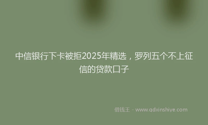 中信银行下卡被拒2025年精选，罗列五个不上征信的贷款口子