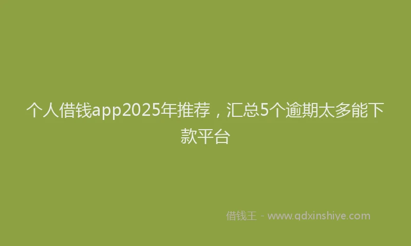 个人借钱app2025年推荐，汇总5个逾期太多能下款平台