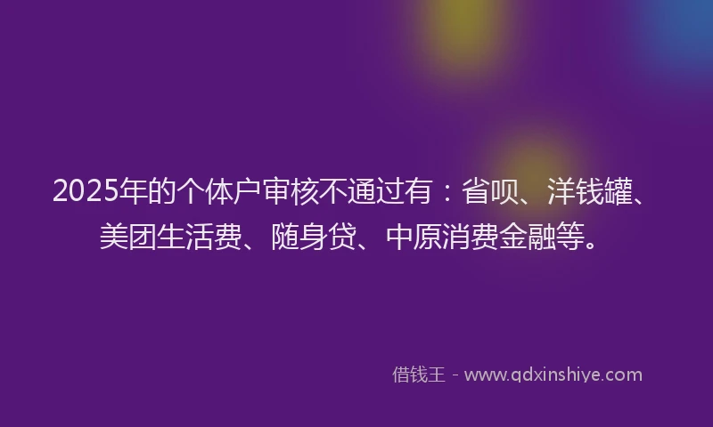 2025年的个体户审核不通过有：省呗、洋钱罐、美团生活费、随身贷、中原消费金融等。