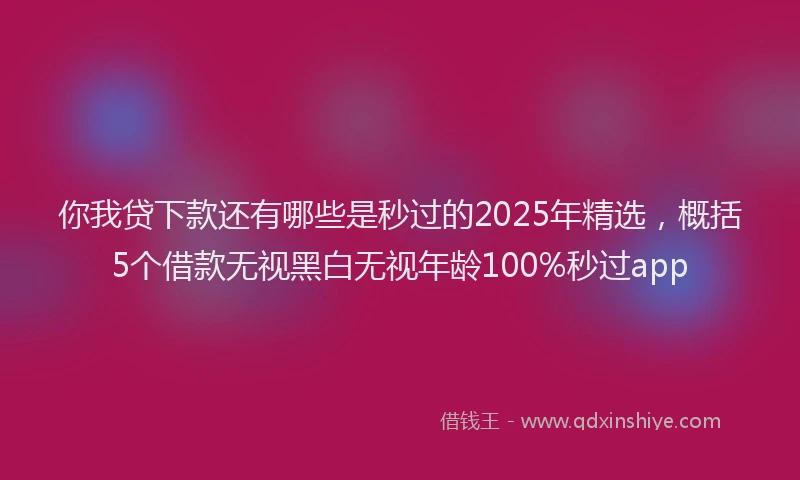 你我贷下款还有哪些是秒过的2025年精选，概括5个借款无视黑白无视年龄100%秒过app