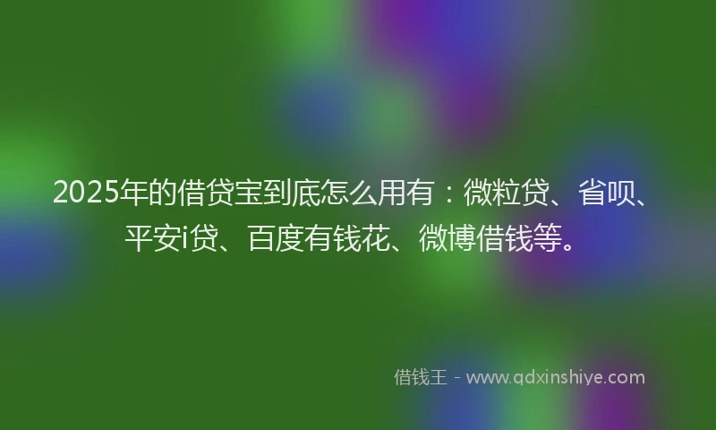 2025年的借贷宝到底怎么用有：微粒贷、省呗、平安i贷、百度有钱花、微博借钱等。