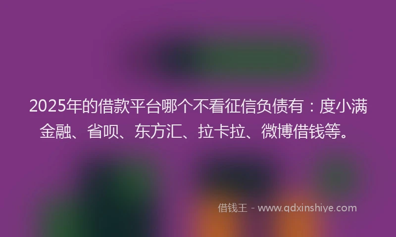 2025年的借款平台哪个不看征信负债有：度小满金融、省呗、东方汇、拉卡拉、微博借钱等。