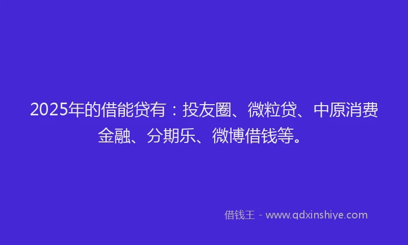2025年的借能贷有：投友圈、微粒贷、中原消费金融、分期乐、微博借钱等。