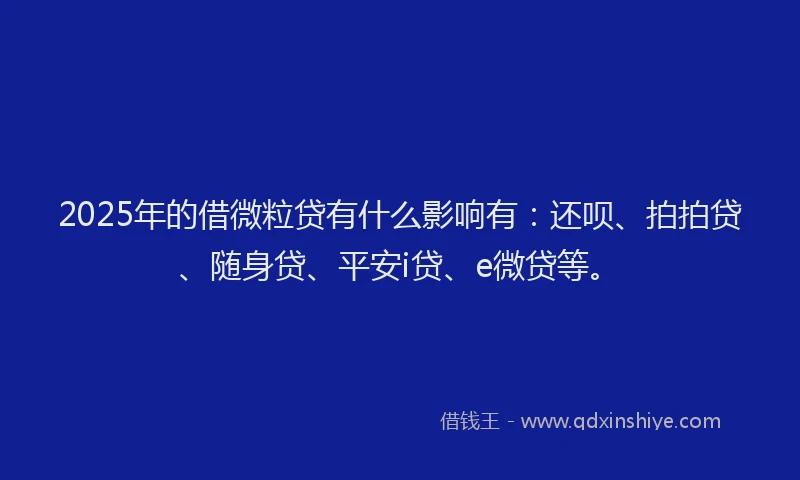 2025年的借微粒贷有什么影响有：还呗、拍拍贷、随身贷、平安i贷、e微贷等。