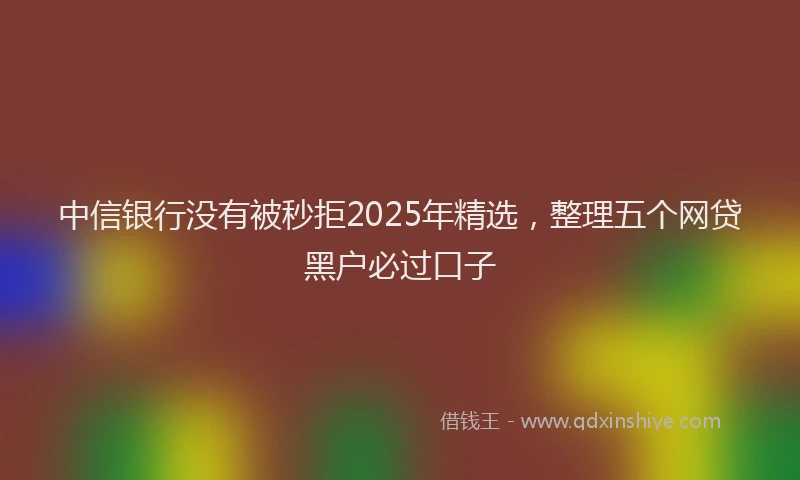 中信银行没有被秒拒2025年精选，整理五个网贷黑户必过口子