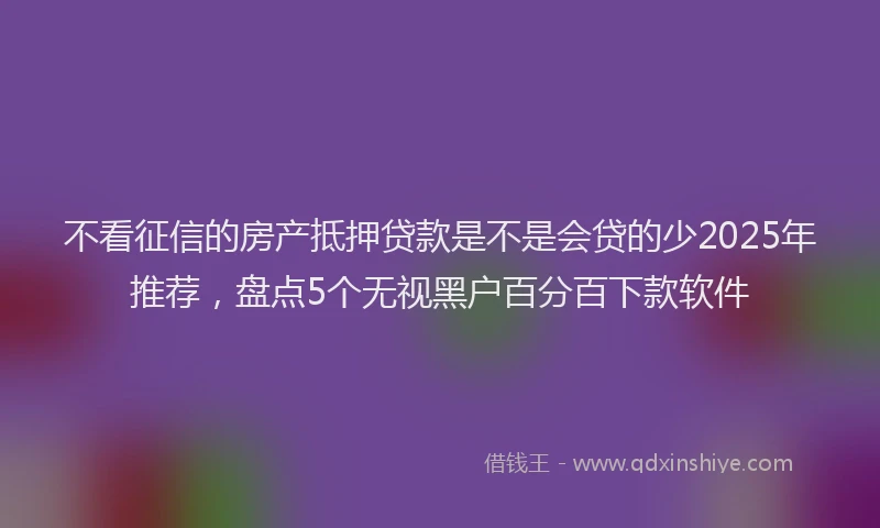 不看征信的房产抵押贷款是不是会贷的少2025年推荐，盘点5个无视黑户百分百下款软件