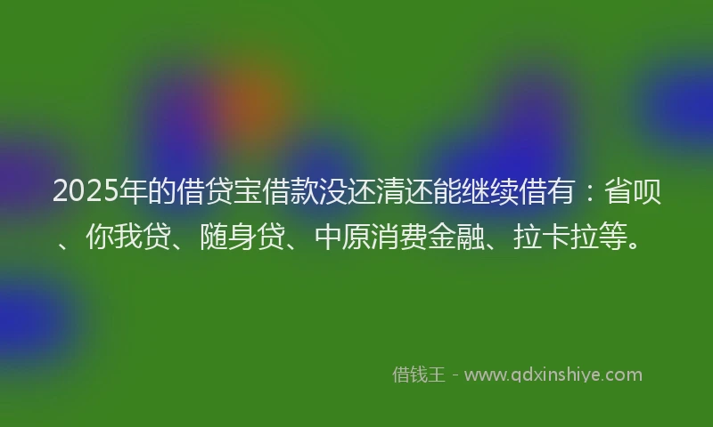 2025年的借贷宝借款没还清还能继续借有：省呗、你我贷、随身贷、中原消费金融、拉卡拉等。