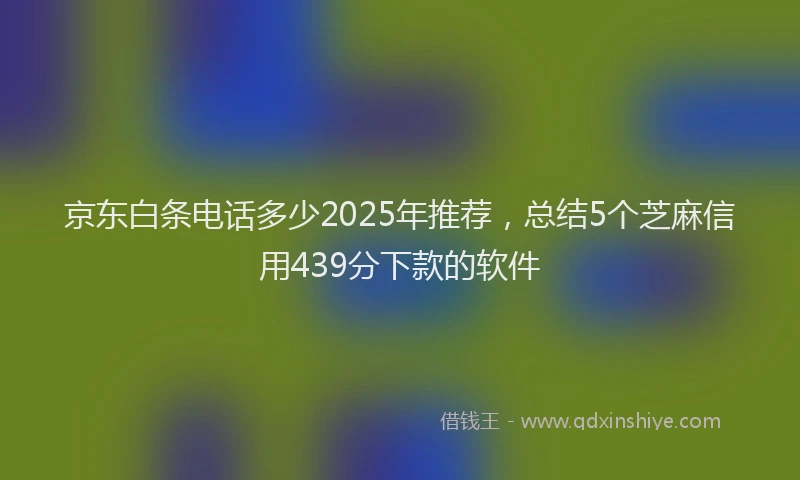 京东白条电话多少2025年推荐，总结5个芝麻信用439分下款的软件