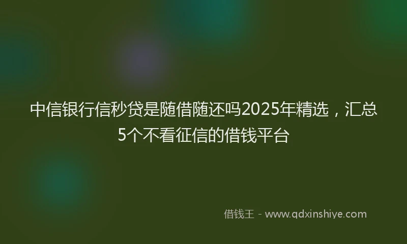 中信银行信秒贷是随借随还吗2025年精选，汇总5个不看征信的借钱平台