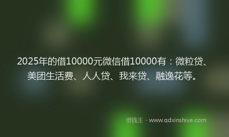 2025年的借10000元微信借10000有：微粒贷、美团生活费、人人贷、我来贷、融逸花等。