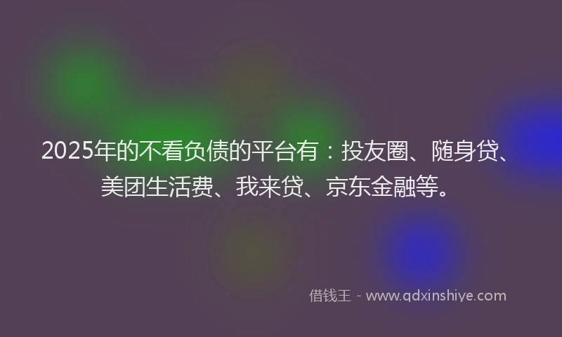 2025年的不看负债的平台有：投友圈、随身贷、美团生活费、我来贷、京东金融等。